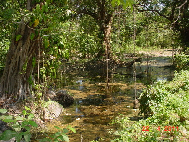 Humedales de Costa Sur de Asese